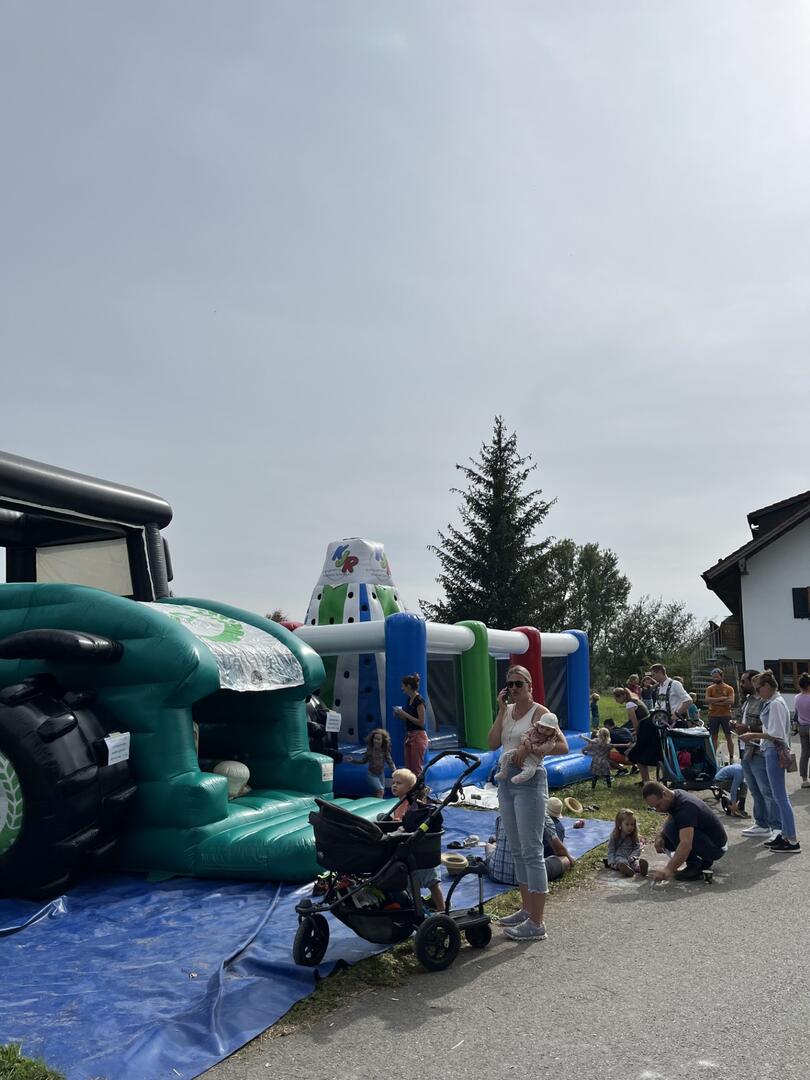 Hüpfburg mit Kindern