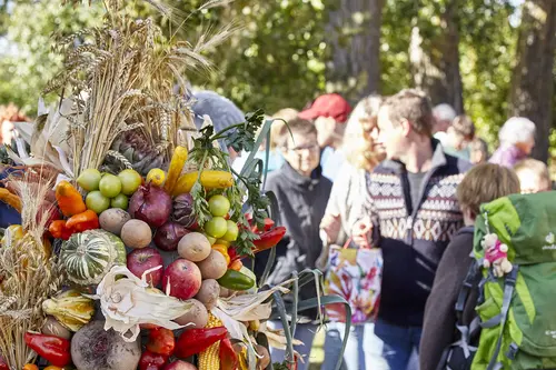 Bild mit Menschen vor Gemüse-/Obststraus